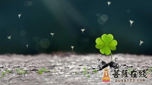 佛教-世间三千事，淡然一笑间