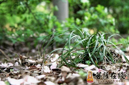 佛教-吃亏得大福报的因果故事 佛教-吃亏得大福报的因果故事