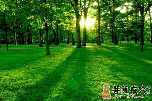 释迦牟尼-佛陀的家谱 释迦牟尼-佛陀的家谱