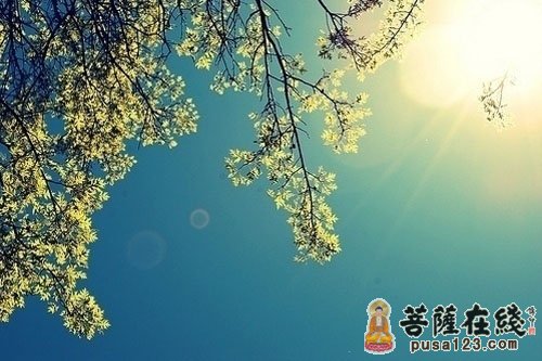佛教-幸运不是偶然的 而是改变自己得来的 佛教-幸运不是偶然的 而是改变自己得来的