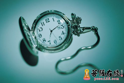 蜘蛛-珍惜是什么 蜘蛛-珍惜是什么