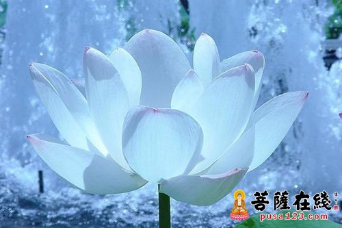 释迦牟尼-用善心转化逆缘 释迦牟尼-用善心转化逆缘