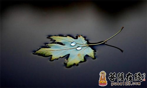 一颗随缘知足的心 一颗随缘知足的心