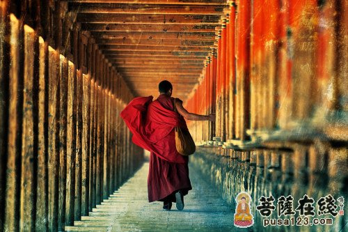 恋爱-活佛与众生之爱 恋爱-活佛与众生之爱