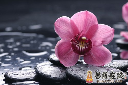 佛教-从姥姥蒙佛加被所想到的 佛教-从姥姥蒙佛加被所想到的