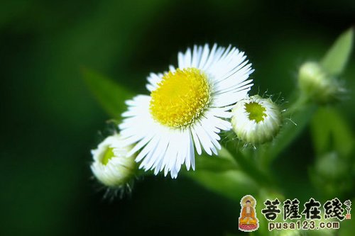 处境并不是最糟糕的 处境并不是最糟糕的