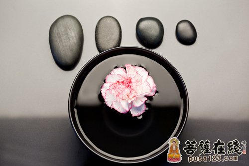 两种不同的成熟 两种不同的成熟