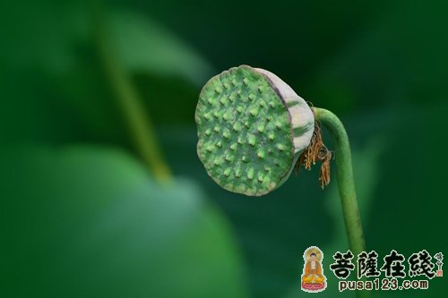 适当的放手