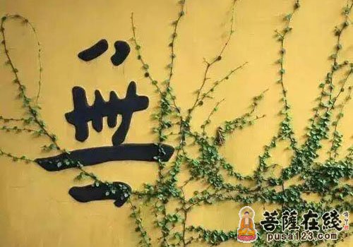 释迦牟尼-一睡一千年 释迦牟尼-一睡一千年