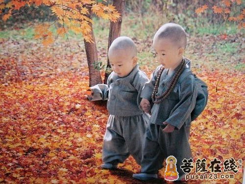 无生法忍-具行法师证得无生法忍 无生法忍-具行法师证得无生法忍