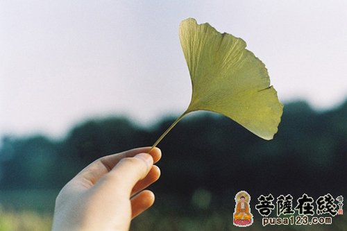 九死还魂草-改变自己 九死还魂草-改变自己