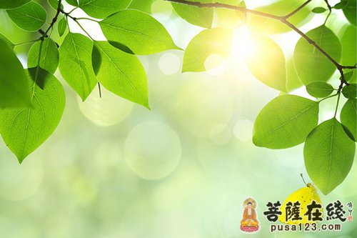 释迦牟尼-清晨的阳光 释迦牟尼-清晨的阳光