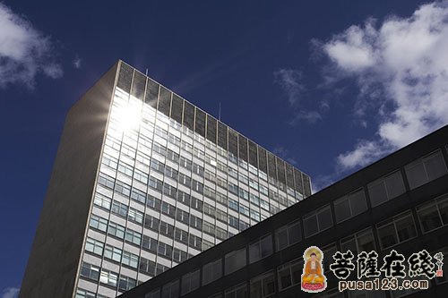 佛教-富者为兄 佛教-富者为兄