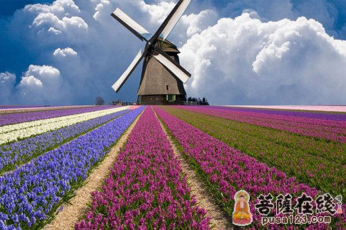 吾人为什么不能认识自己 吾人为什么不能认识自己