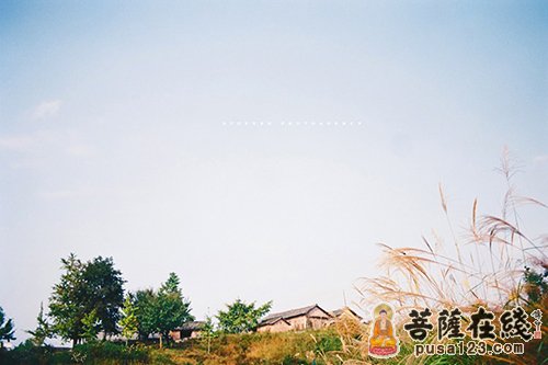 释迦牟尼-细心入微的佛陀 释迦牟尼-细心入微的佛陀