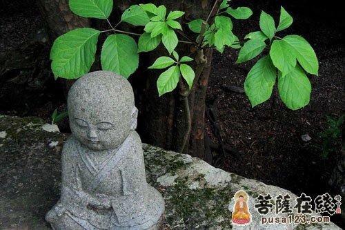 出家-难陀出家的故事 出家-难陀出家的故事