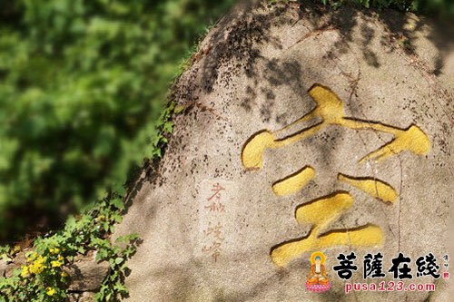 金刚经-金刚经偈的功德 金刚经-金刚经偈的功德