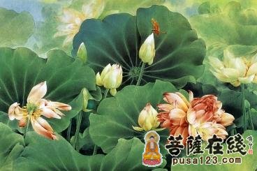 佛教-武僧张猛与北魏孝文帝的故事 佛教-武僧张猛与北魏孝文帝的故事