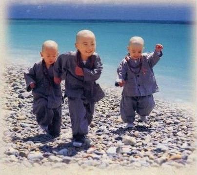 一行禅师:故道白云:等待明天 一行禅师:故道白云:等待明天