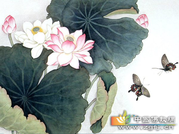 一片菜叶 一片菜叶