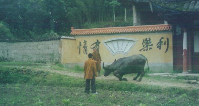 灵异故事-现实版喜欢闻经听法的灵异动物! 灵异故事-现实版喜欢闻经听法的灵异动物!