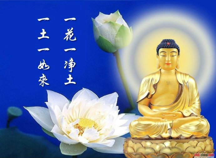 佛教-有缘就能悟道 佛教-有缘就能悟道