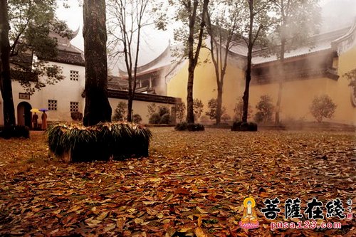 佛教-宋郊活蚁占大魁 佛教-宋郊活蚁占大魁