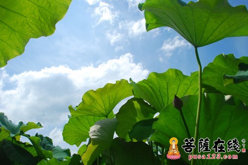 佛教-让人深思的禅语小故事六则