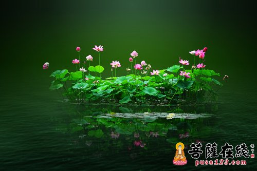 佛教-因缘成熟时烦恼自然不起 佛教-因缘成熟时烦恼自然不起