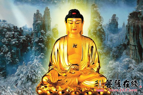 舍利弗-树神也来抢功德 舍利弗-树神也来抢功德
