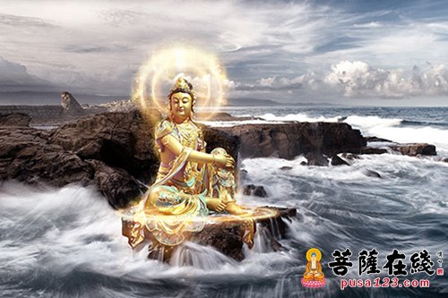 狗-沙门救狗 狗-沙门救狗