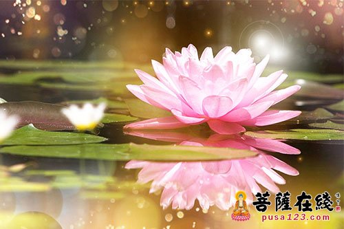 佛教-三车火宅