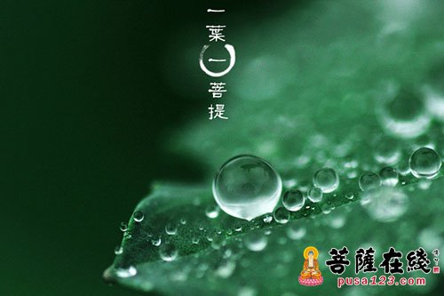 马无夜草不肥 人有外财不发 马无夜草不肥 人有外财不发