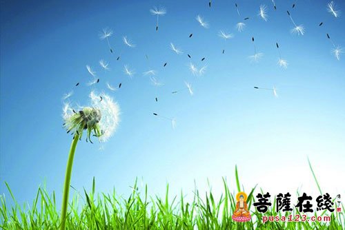 育儿-自己善良和别人无关 育儿-自己善良和别人无关