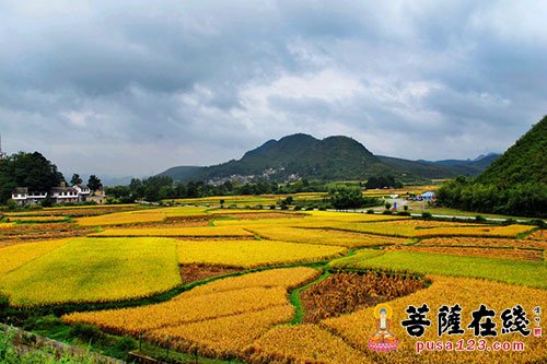 庄稼-怎样去除掉心灵的杂草 庄稼-怎样去除掉心灵的杂草