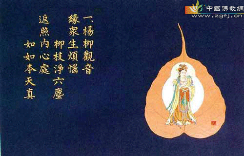 “不幸”的故事(图文) “不幸”的故事(图文)