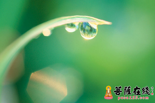 释迦牟尼-佛陀背痛的因缘 释迦牟尼-佛陀背痛的因缘