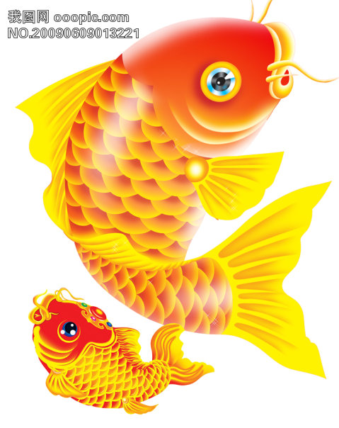 树洞-神鱼 树洞-神鱼