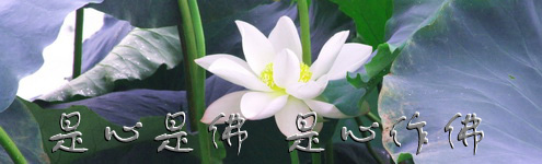 文化-弘一大师救冤女 文化-弘一大师救冤女