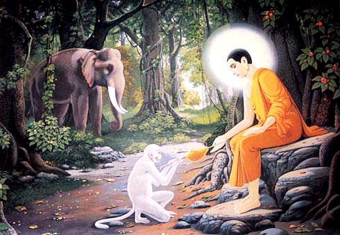 释迦牟尼-精美绝伦佛陀画传(图集) 释迦牟尼-精美绝伦佛陀画传(图集)