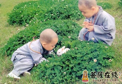 寓言故事-因果寓言故事 寓言故事-因果寓言故事