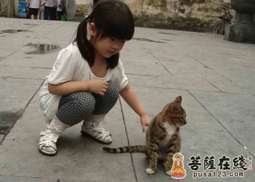 佛教-不要拂拭 佛教-不要拂拭