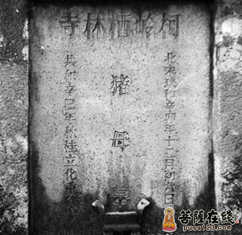 文化-知恩图报，历代主持为母猪扫墓900多年