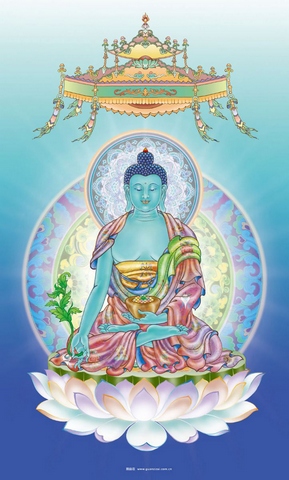 鸟儿叩谢佛恩 鸟儿叩谢佛恩
