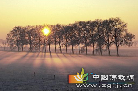 水中的金影(图文) 水中的金影(图文)