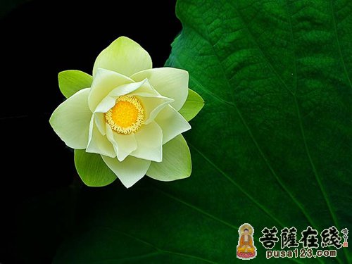 善良成就未来 善良成就未来