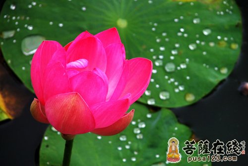 三穷三富活到老 三穷三富活到老