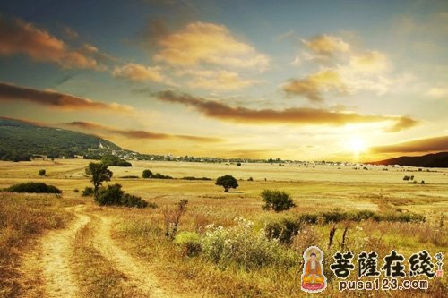 佛教-旷野无明路 佛教-旷野无明路