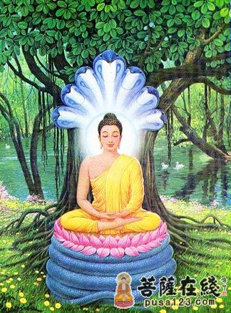 龙树菩萨-“第二代释迦”龙树菩萨 龙树菩萨-“第二代释迦”龙树菩萨