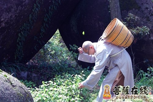 比丘尼-化了妆的比丘尼 比丘尼-化了妆的比丘尼